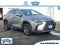2025 Lexus NX 250 Premium