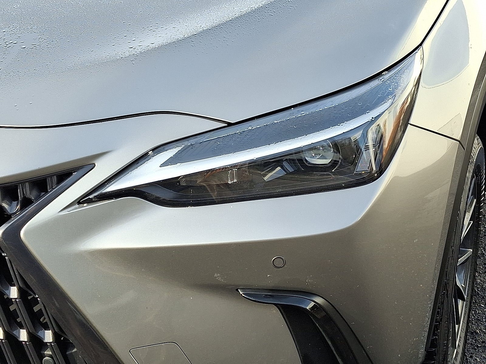 2025 Lexus NX 250 Premium