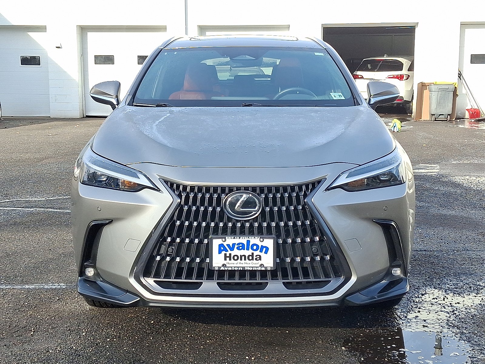 2025 Lexus NX 250 Premium