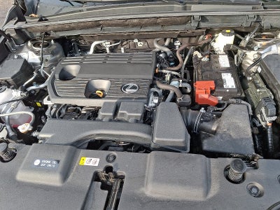 2025 Lexus NX 250 Premium