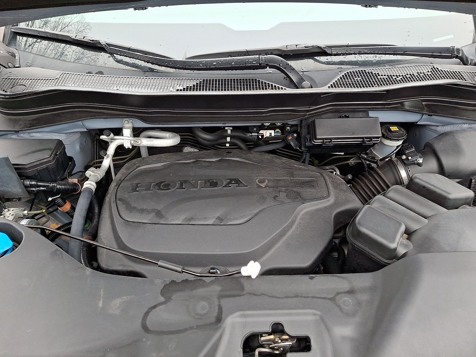 2023 Honda Passport AWD EX-L