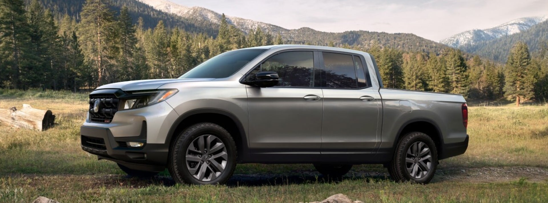 Pickup parked in a field
